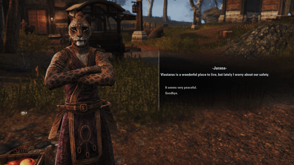 Cyrodiil Town Dailies