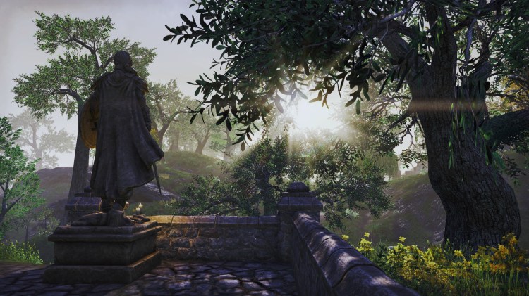 What’s Hot: Blackwood